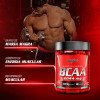 Bcaa 2044mg 90caps Integral Médica Aminoácido
