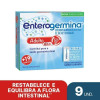 Probiótico Enterogermina Adulto Sabor Laranja 9 Sachês
