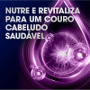 Shampoo Anticaspa Clear Women Hidratação Intensa 400ml