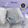  Roupa Íntima Descartável Noturna Plenitud G/XG 24 unidades