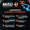 Polivitamínico Complexo B Mag B 60 comprimidos