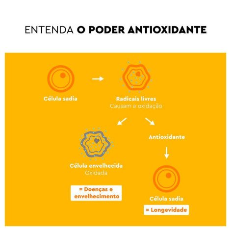 Lavitan Zinco Quelato Mais Imunidade com 30 Comprimidos Revestidos