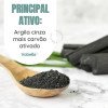 Argila Cinza Em Pó Com Carvão Ativado Natural Labotrat 100G