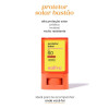 Protetor Solar Facial em Bastão Sallve FPS60 15g