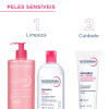 Bioderma Gel Creme Facial Bioderma Sensibio DS+ Antivermelhidão e Antidescamação 40ml