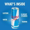 Energético Red Bull Zero Açúcar Sabor Tradicional 250ml