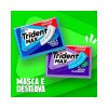 Trident Max Chiclete Sem Açúcar Hortelã Fresca 16,5g Trident Max Chiclete Sem Açúcar Hortelã Fresca 16,5g