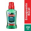 Enxaguante Bucal Colg Plax Fresh Mint 250ML(Clg Enxaguante Bucal Colg Plax Fresh Mint 250ML(Clg