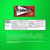 Chiclete Trident Canela sem Açúcar 8g