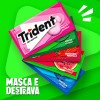 Goma de Mascar Trident Tutti-Frutti Sem Açúcar 8g Goma de Mascar Trident Tutti-Frutti Sem Açúcar 8g