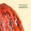 Hidra Corp Paixao Cacau E Pimenta 200ML Hidra Corp Paixao Cacau E Pimenta 200ML