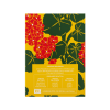 Deo Colônia Phebo Gerânio Bourbon 200ml