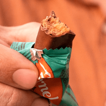 Bombom De Chocolate Flormel Mini+ Doce De Coco Zero Açúcar 12g