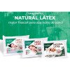 Travesseiro Látex Natural LN1200 c/ Capa Percal 200 Fios 45x65x13 - Duoflex Travesseiro Látex Natural LN1200 c/ Capa Percal 200 Fios 45x65x13 - Duoflex