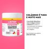 Lavitan Super Fórmula Verisol Colágeno Hidrolisado + Ácido Hialurônico Sabor Hibisco e Limão 300g Lavitan Super Fórmula Verisol Colágeno Hidrolisado + Ácido Hialurônico Sabor Hibisco e Limão 300g