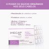 Suplemento Alimentar Imecap Hair Salicílico Ôrganico 60 Cápsulas Suplemento Alimentar Imecap Hair Salicílico Ôrganico 60 Cápsulas