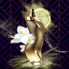 Shakira Dance Midnight Eau de Toilette Perfume Feminino 80ml