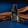 Perfume The Icon Eau De Parfum Masculino Banderas 100ml Perfume The Icon Eau De Parfum Masculino Banderas 100ml