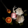 Perfume Feminino Jean Paul Gaultier Scandal Eau de Parfum 50ml