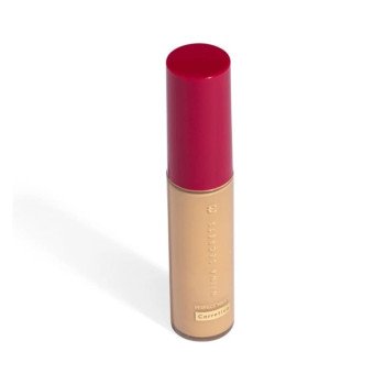 Corretivo Líquido Niina Secrets Perfect Match Cor 10 10ml