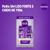 Kit Seda Liso Perfeito Shampoo 300ml + Condicionador 190ml Kit Seda Liso Perfeito Shampoo 300ml + Condicionador 190ml