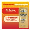 Tinta de Cabelo Permanente Cor&Ton Niely - 5.3 Castanho Claro Dourado