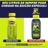 Bebida Isotônica Engov After Citrus 250ml