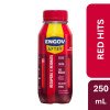 Bebida Isotônica Engov After Red Hits 250ml