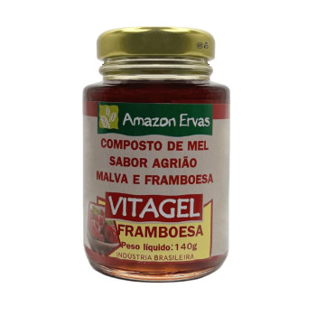 Vitagel framboesa Com 140G