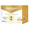 Condrigen Artro Colágeno Tipo 1 e Colágeno Tipo 2 com Vitaminas Sabor Frutas Amarelas 30 Sachês