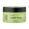 Esfoliante Rosto e Corpo Labotrat Dia a Dia 300G Capim Limao