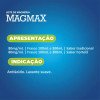 Leite de Magnésia Magmax Sabor Hortelã Frasco 100ml
