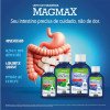 Leite de Magnésia Magmax Sabor Tradicional 300ml