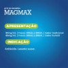 Leite de Magnésia Magmax Sabor Tradicional 300ml