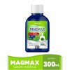 Leite de Magnésia Magmax Sabor Hortelã 300ml