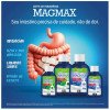 Leite de Magnésia Magmax Sabor Hortelã 300ml