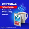 Vick Pyrena Paracetamol 500mg/5g Maçã e Canela Pó para Solução Oral 5g