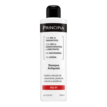 Shampoo Dermatológico Antiqueda Principia Skincare Aq