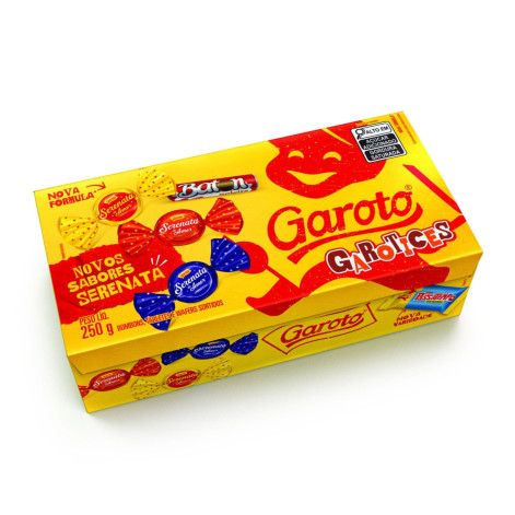 Caixa Garoto Sortido 250G
