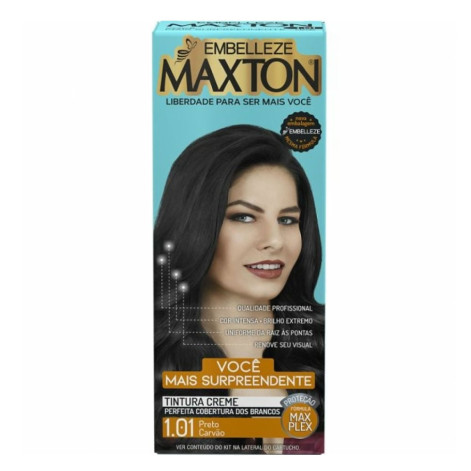 Tinta Maxton Prat Preto Car 1.01
