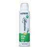 Desodorante Aerossol Monange Detox Fresh Feminino 48h Capim Limão e Gengibre 150ml Desodorante Aerossol Monange Detox Fresh Feminino 48h Capim Limão e Gengibre 150ml
